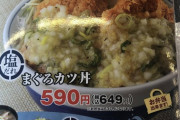 【画像】かつやに来たけどこれ美味いの？