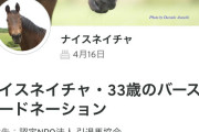 【続報】ナイスネイチャの寄付金、3300万円を達成