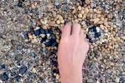 【動画】周りの小石を拾い集めてネコのモザイクを作るアートが素敵。