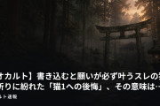 【オカルト】書き込むと願いが必ず叶うスレの猫の祈りに紛れた「猫1への後悔」、その意味は…