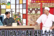 【日向坂46】若林派、減りそう