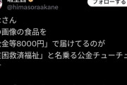 【悲報】暇空茜さん、貧困向け食料支援をしている認定NPOを公金チューチューだと批判→嫌儲民が寄付で支援開始、爆速で数百万円が集まる