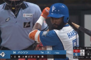日本ハム・ハンソン.114(35-4) 2本 4打点 OPS.498