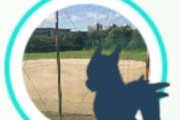 【ポケモンGO】これ野生のジガルデ？