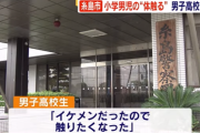 17歳高校生、10歳の男の子にわいせつ行為　「イケメンだったのでつい…」