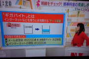 【画像】テレビ「ギガバイトとは・・・」