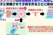 【朗報】男同士で出産可能へ！女はやっぱりいらなかった！