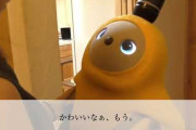 【画像】この「LOVOT」っていうロボがめちゃカワなんだが‥‥買っていいか？