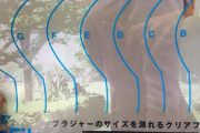 GWで記事が無いので、閑話休題　…何故人類は……。　　　どこで買えますか？