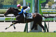 【トップハンデ上等】有馬記念８着ヴェロックスは川田騎手で小倉大賞典へ