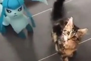 【動画】ポケモンさん、やらかすｗｗｗｗｗｗｗｗｗｗｗｗｗ