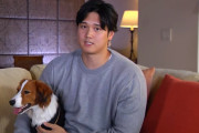 【ソースあり】大谷翔平さん、犬を買うときに嫁に事後報告だった事が判明