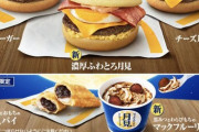 帰りマクドナルドで月見バーガー買って帰る！