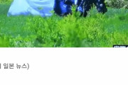 韓国人「日本に出没する “人食い熊” が怖すぎる件」「韓国も他人ごとではありません…」