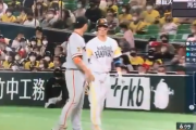 【悲報】巨人中島、プレー中に栗原にオラつく