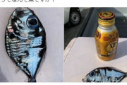 【関東】偶然捕獲した「謎の深海魚」がツイッターで話題に…専門家に聞いてみた結果