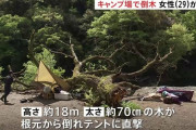 キャンプ倒木で死傷、従業員「毎朝確認していました」　不運な天災か  [4/17]