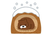 識者「これ誤解されてるけど、クマは寒いから・雪が降るから冬眠するわけではありません」