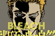 BLEACHの名言「憧れとは理解から最も遠い感情だよ」しかない