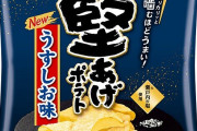 【艦これ】ポテトチップスあさしお味