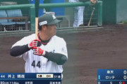 ロッテの井上って復活できるんかな