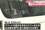 【追放】アミメニシキヘビの飼い主、全てのペットを手放しアパート退去へ