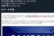 ◆悲報◆185分ノーゴール連敗のG大阪公式のリプ欄が地獄絵図(´・ω・`)