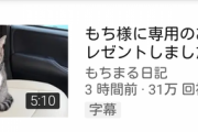 【朗報】もちまる日記のもち様、専用の車をプレゼントされてしまう