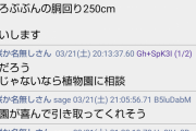 【画像あり】孫「祖母が育てました」「世界クラス100万超えだぞ！」植物民ザワつく