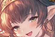 【グラブル】これは古戦場とは関係のないグランくんのお嫁さん
