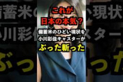 【これが日本の本気？】備蓄米のひどい現状を小川彩佳キャスターがぶった斬った