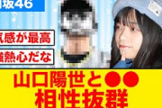 【日向坂46】山口陽世×●●の相性がいいことが判明する