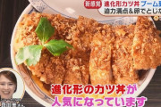【速報】かつ丼、ついに進化するｗｗｗｗｗｗｗｗｗｗｗ