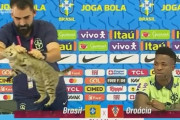 ブラジル代表の広報担当者、記者会見場に乱入した猫を床に投げ捨てて炎上