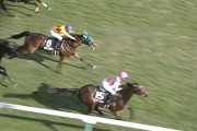【競馬】新潟1000mの予想得意なやつとかいんの？