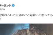 【悲報】慶応女子「こういう糸目で前髪おろして自分のこと可愛いと思ってる25歳くらいの男もれなく全員嫌い」