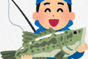 ブラックバス「食えません、繁殖力強いです、在来種を絶滅に追い込みます」←こいつをリリースする理由