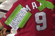 カープ丸(背番号9)を秋山のユニフォームに改造してリサイクルwww【AKIYAMARU】