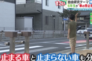 小学6年生が自由研究で横断歩道で“止まる車”と“止まらない車”を調査 → 止まらない車の特徴は…