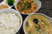 (´・ω・`)VIP軒本日のサービスメニューはヘルシー麻婆豆腐定食450円だよ！