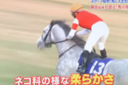 【競馬】ゴールドシップ産駒、オークス3着