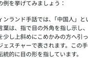 【悲報】フィンランド人「本当に馬鹿げている、フィンランドの手話ではあのつり目ジェスチャーが中国人を指すものです」