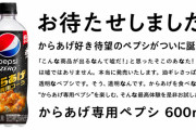 【画像】ペプシコーラ社、「こういうのでいいんだよ」な新商品を発売ｗｗｗｗｗｗｗｗ