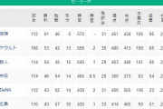 【セリーグ】阪神タイガースvs東京ヤクルトスワローズの一騎打ちになる