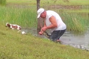 【強い】池に飛び込んだ男性がワニの顎を力づくでこじ開け愛犬を救出、アメリカの衝撃映像が話題に