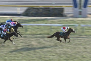 【競馬】現時点でスワーヴリチャードとソウルスターリングってどっちのが強いの？
