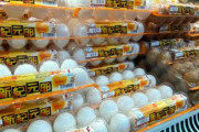 「日本の卵は安全で美味しい」と取り合いに。動画でチェックする！