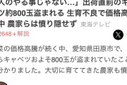 「人のやることじゃない…」出荷直前のキャベツ800玉盗まれる