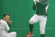 秋季練習で阪神・藤井康雄新コーチが佐藤輝に初の密着指導　動作を30分確認、特長をチェック