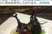 地球温暖化対策で注目される「昆虫食」が農業にもたらすメリットとは？